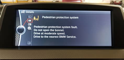 Passenger Restraint System Malfunction. . Pedestrian protection system bmw reset cost